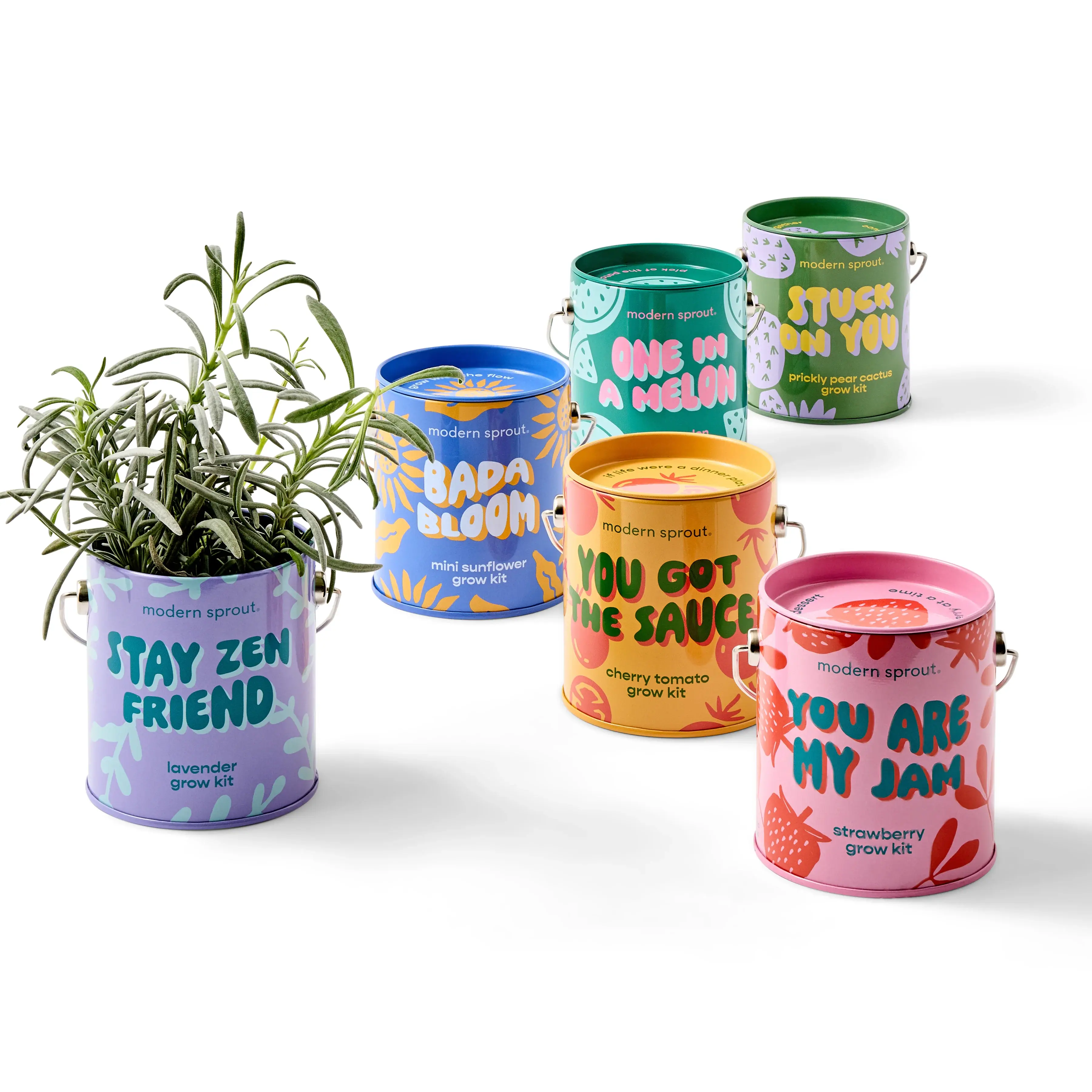 Complementary Colors Grow Kits